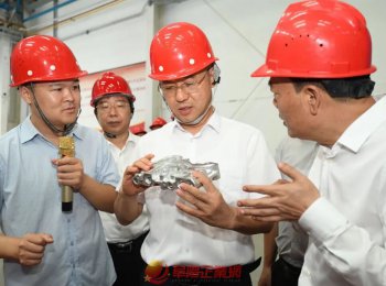 汪华东调研阜南县经济社会发展情况