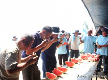 比技术 赢赞助 安徽太和这场活动火了