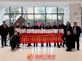 阜阳市房地产业协会召开2025年度安徽省“好房子”颁奖会议