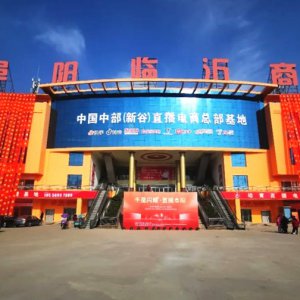 中国中部直播电商总部基地在阜阳临沂商城盛大启动