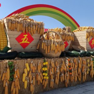 丰富活动庆佳节