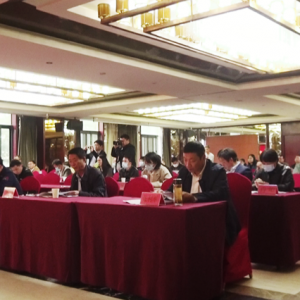 颍东区新的社会阶层人士联谊会正式成立
