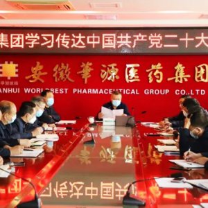 安徽华源医药集团学习传达党的二十大报告精神