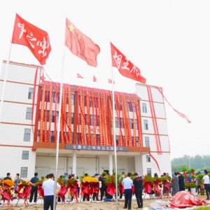 安徽胡王府：预制菜产业新生力量，助推乡村振兴