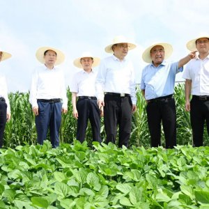 梁言顺在阜阳市调研时强调 坚持多种粮种好粮全力保障国家粮食安全 加快皖北地区全面振兴步伐 ...