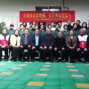 阜南县心理领域三家机构同步揭牌成立