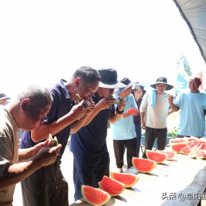 比技术 赢赞助 安徽太和这场活动火了